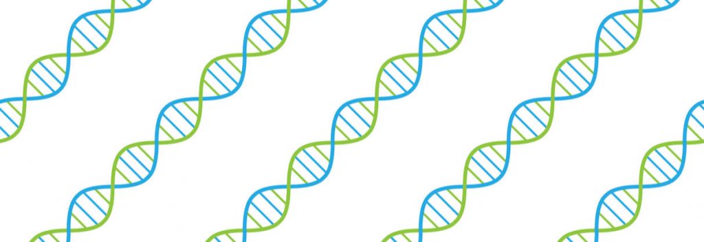 gene synthesis synbio Evonetix 1