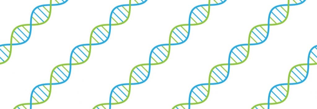 gene synthesis synbio Evonetix 1