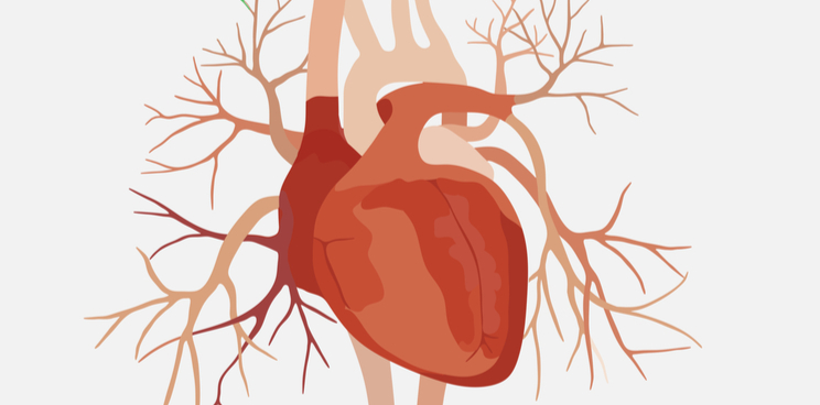 Atrial fibrillation Acesion pharma