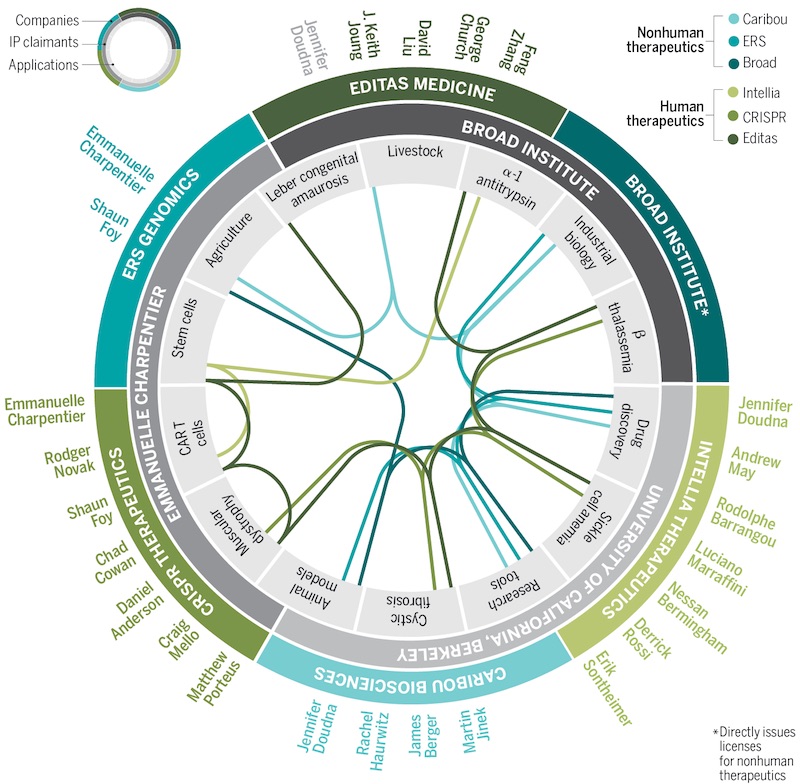 crispr-cas9-review-gene-editing-tool