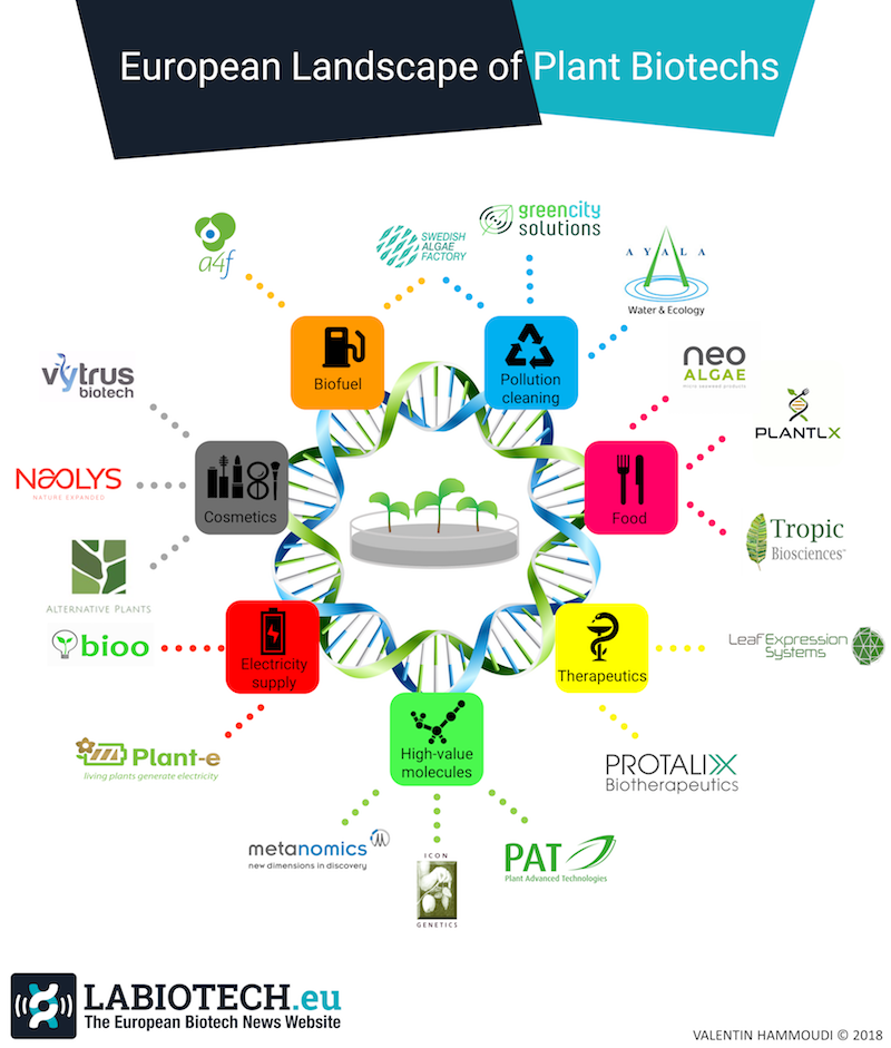 Infographic Plant Biotechnology Europe