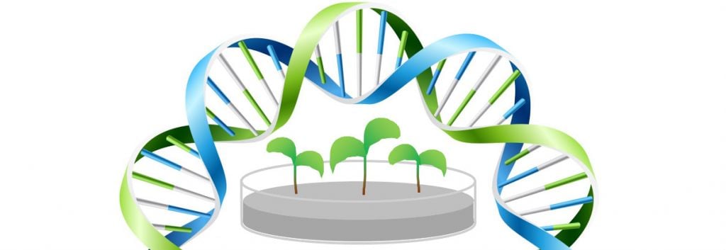 Plant biotechnology infographic labiotech