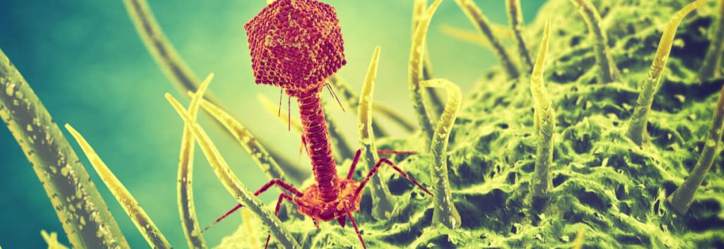 phage food poisoning prevention2 1