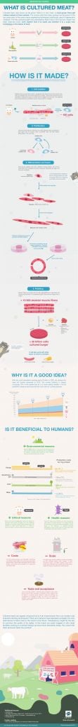 Cultured meat infographic labiotech