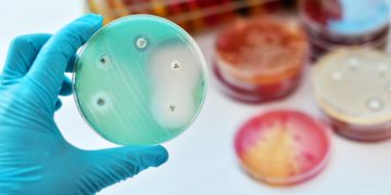 European Biotechs Join Forces to Fight Antibiotic Resistance