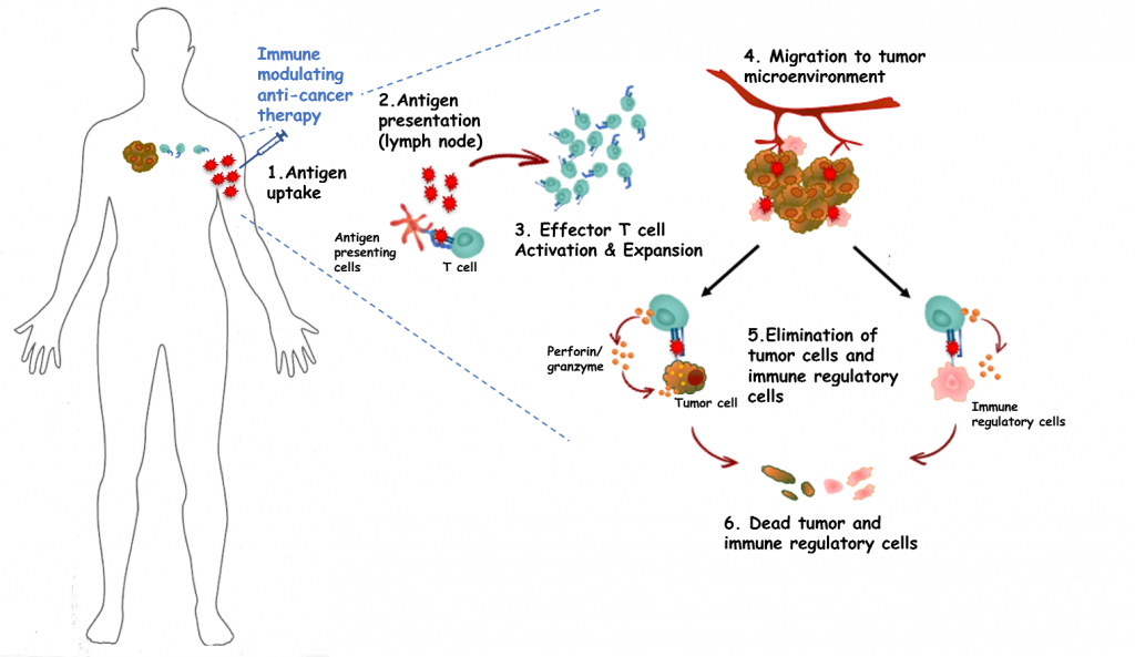 IO Biotech Joins Merck (US) on Combination Therapy for Lung Cancer