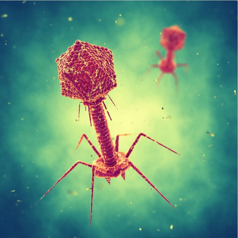 Phage therapy Microbiome Treatment