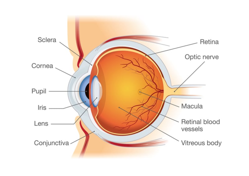 gensight gene therapy