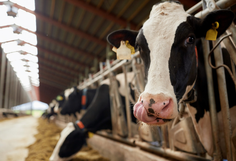 Seventure Partners Launch Animal Health and Nutrition Fund With €24M 