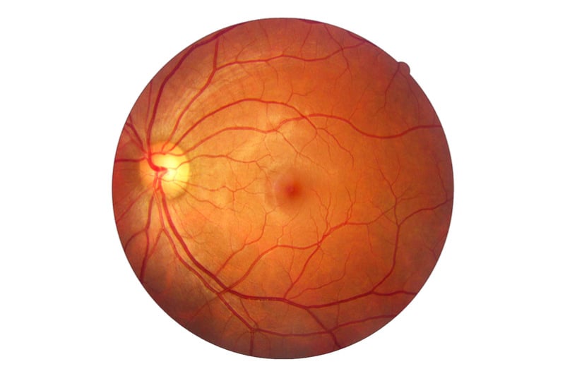 Researchers Give Sight to the Blind With Stem Cell Patch