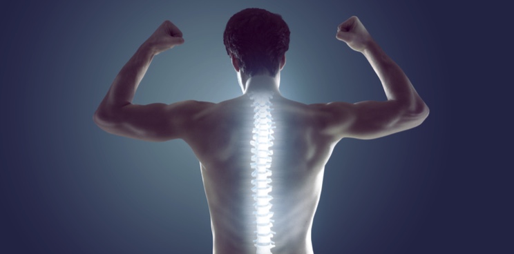 bone therapeutics spinal fusion cell therapy