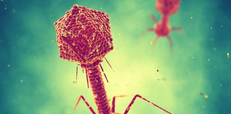 phage therapy microbiome biomx