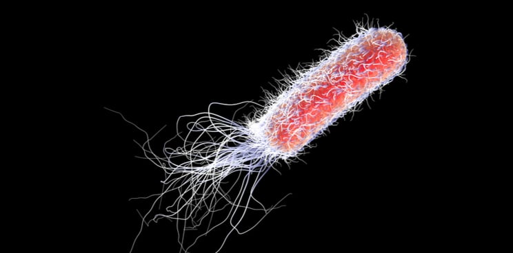 Diagnostic Test Mobidiag Antimicrobial Resistance