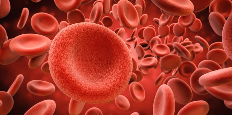 EryDel Red Blood Cells