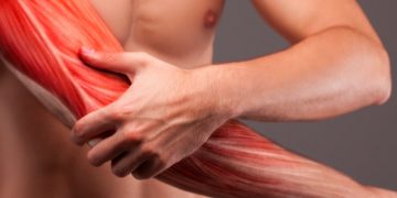 Israeli Cell Therapy for Muscle Injury Will Start Phase III Trial in US