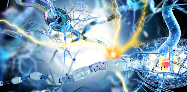 Bionure neurons optic neuritis