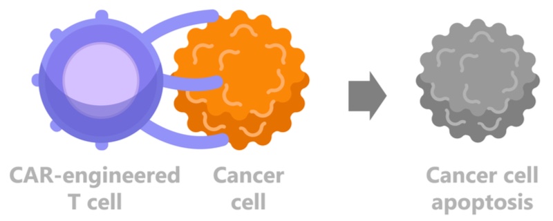 TC Biopharm CAR-T cell therapy cancer HIV