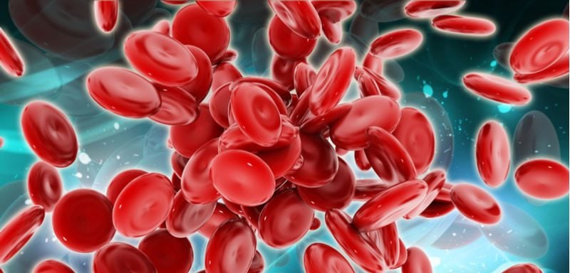 Recruiting Red Blood Cells in the Fight Against Cancer