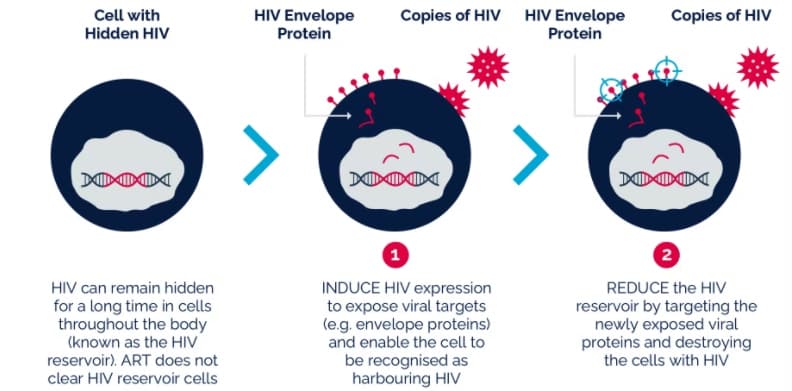 ViiV Healthcare HIV treatment