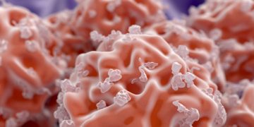 Series B Funding Helps Dutch Biotech Fight Graft Versus Host Disease