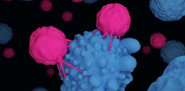 car-t immunotherapy celyad off-the-shelf