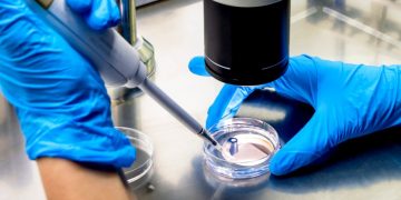 more-news-cancer-development