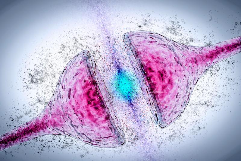 neuron synapse alzheimer's disease