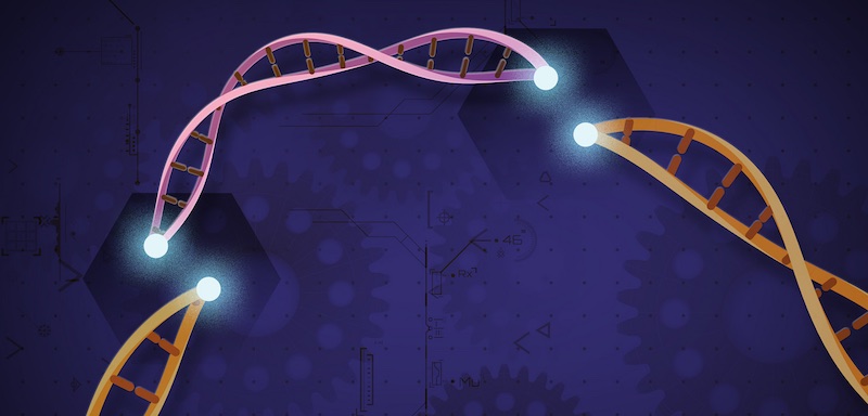 CRISPR-Cas9 DNA Damage