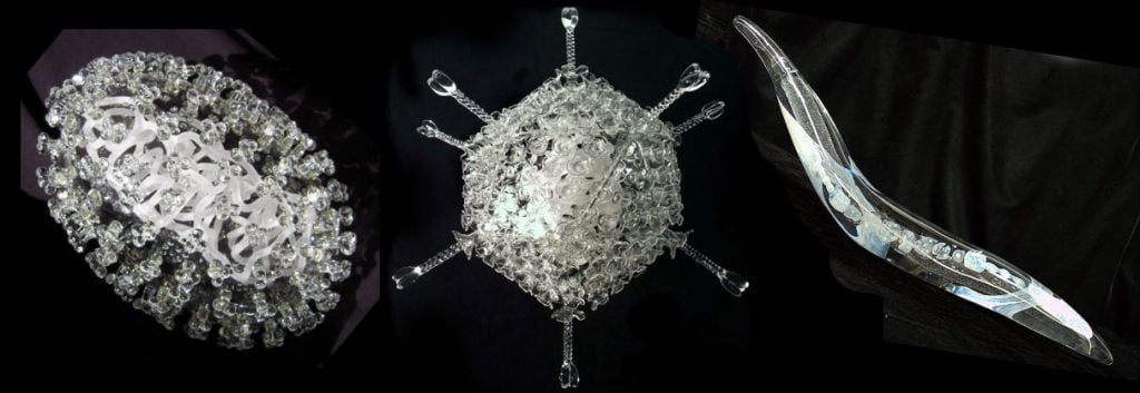 Glass microbiology Luke Jerram