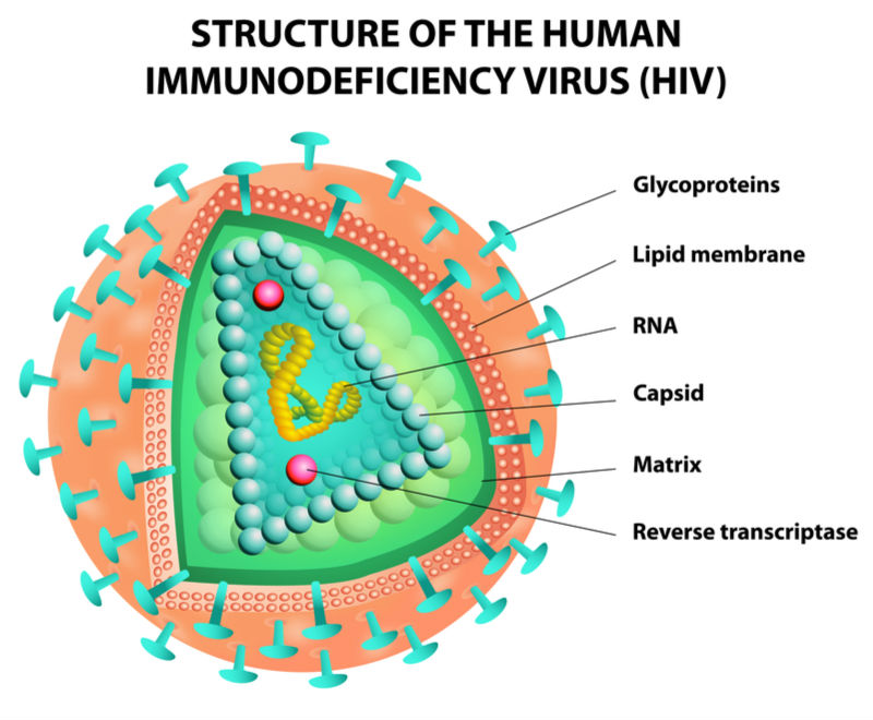 London Biotech Gets Positive Phase III Results for HIV Treatment Given Only Once a Month