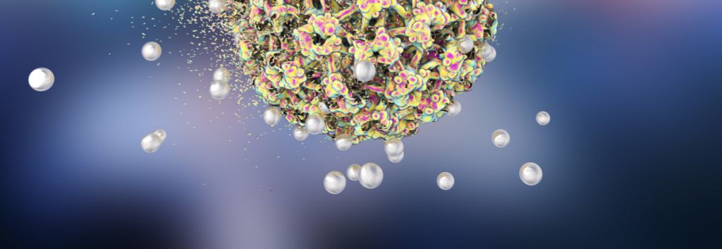 Nanobiotix nanoparticles and tumor