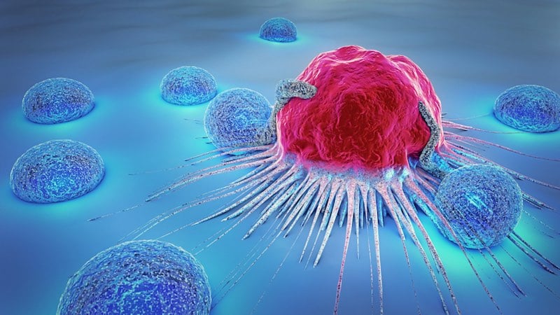 checkpoint inhibitors ose immunotherapeutics cancer cells