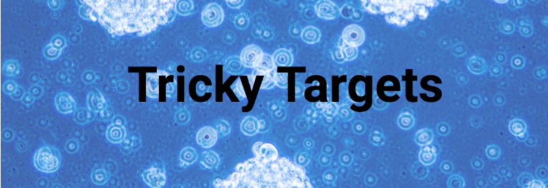 Tricky Targets - glioblastoma cells - ASCO 2018