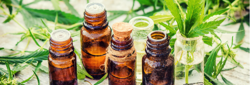 medical cannabis, cannabis, Dentons, legalization