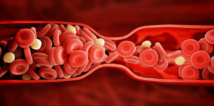 Blood Clotting Cover