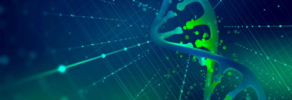 CRISPR Cas9 DNA Damage