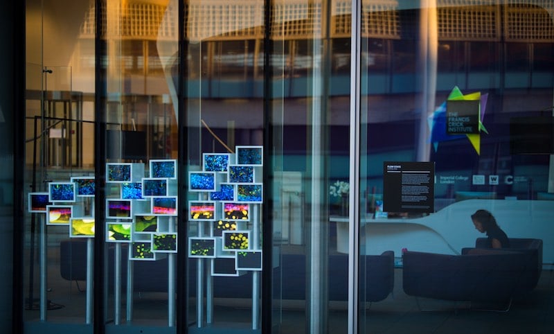 Flow State Francis Crick Institute 