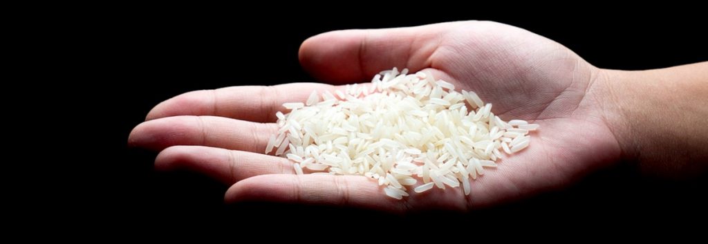 HIV prevention transgenic rice