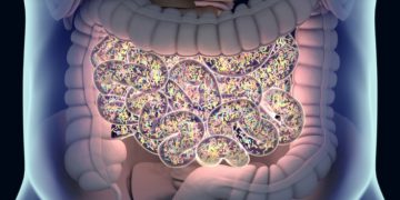maat pharma microbiome therapy cancer