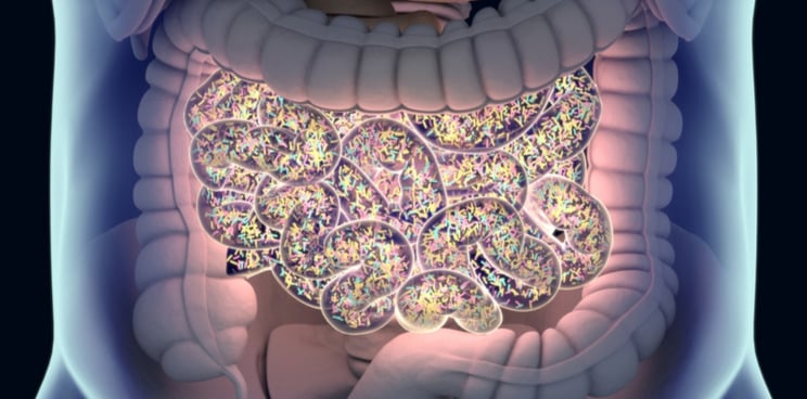 Microbiome gut Cover