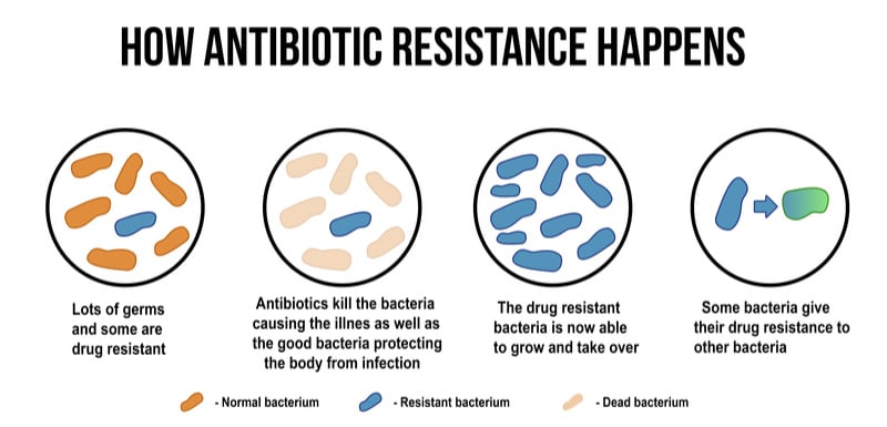 Antabio Raises €12.5M to Fight Antiobiotic Resistance