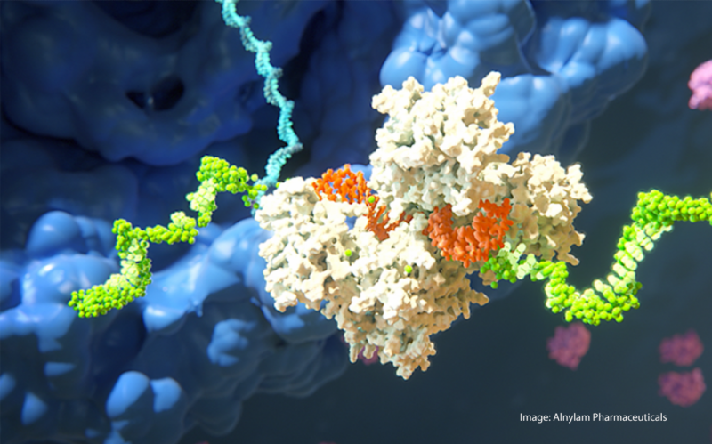 Alnylam RNAi