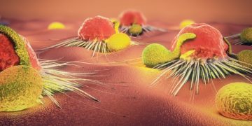 Lymphocytes and cancer cells - Affimed
