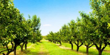 Orchard Therapeutics's Series C Fundraising Will Support New Gene Therapies