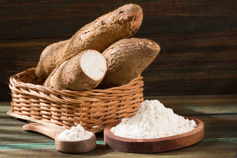 Cassava root and starch - CRISPR editing story