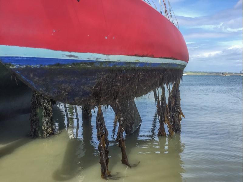 BioMimetx biodegradable biocide boat rudder