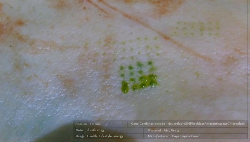 Chloroplast biotattos