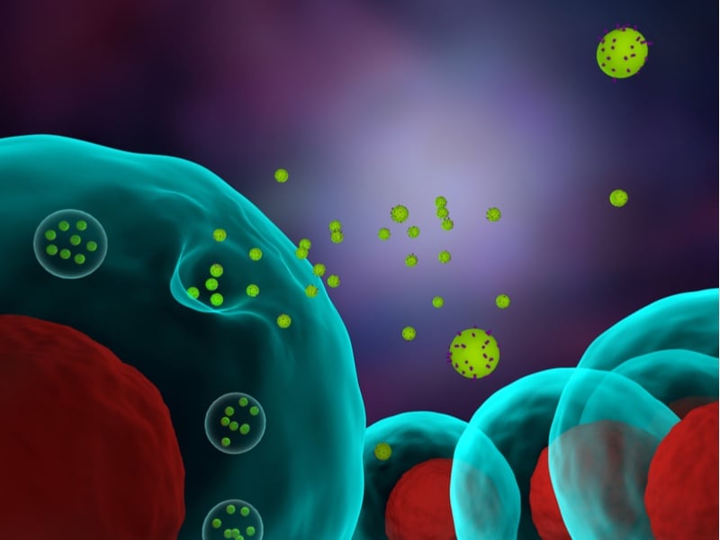 Blood-brain barrier - exosomes