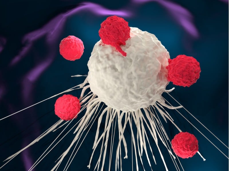 Cancer Immunotherapy lymphocytes