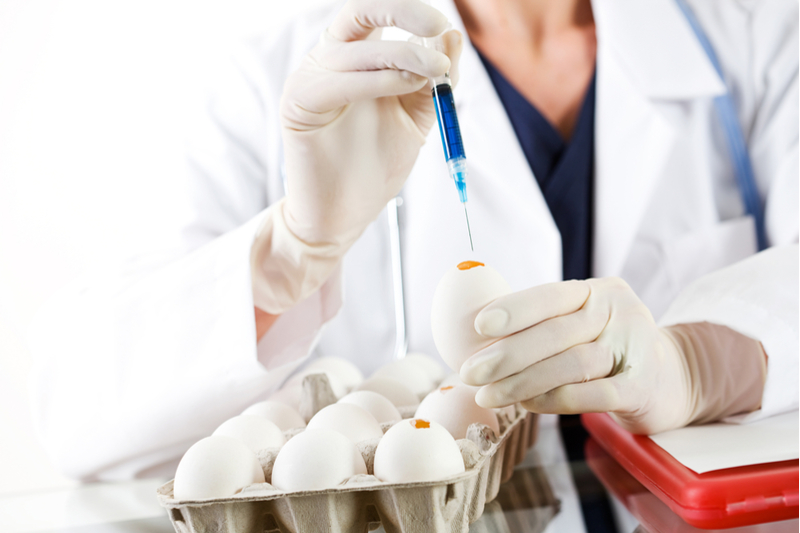 Flu vaccines feature - injecting eggs with virus